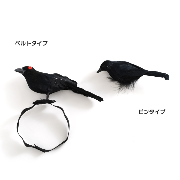 ハロウィン コスプレ 衣装 仮装 2026 かっこいい カラス 肩乗せ 羽 鳥