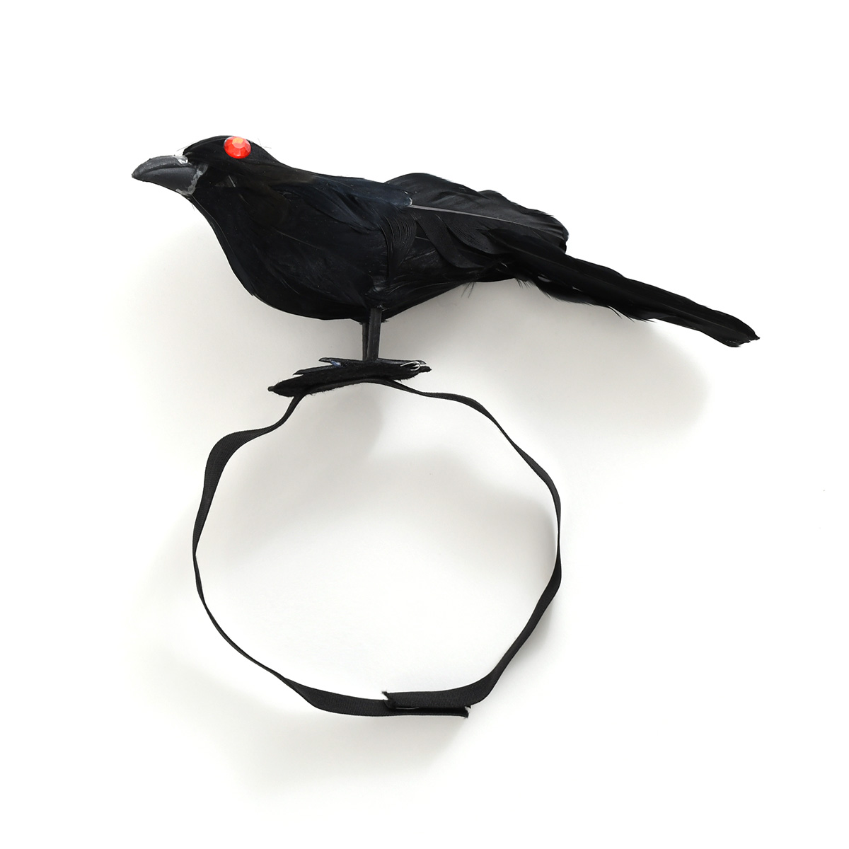 ハロウィン コスプレ 衣装 仮装 2026 かっこいい カラス 肩乗せ 羽 鳥