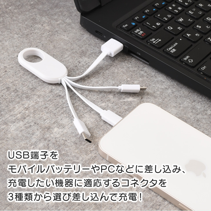 USBケーブル 充電器 充電コード コンパク ト Type-C Lightning
