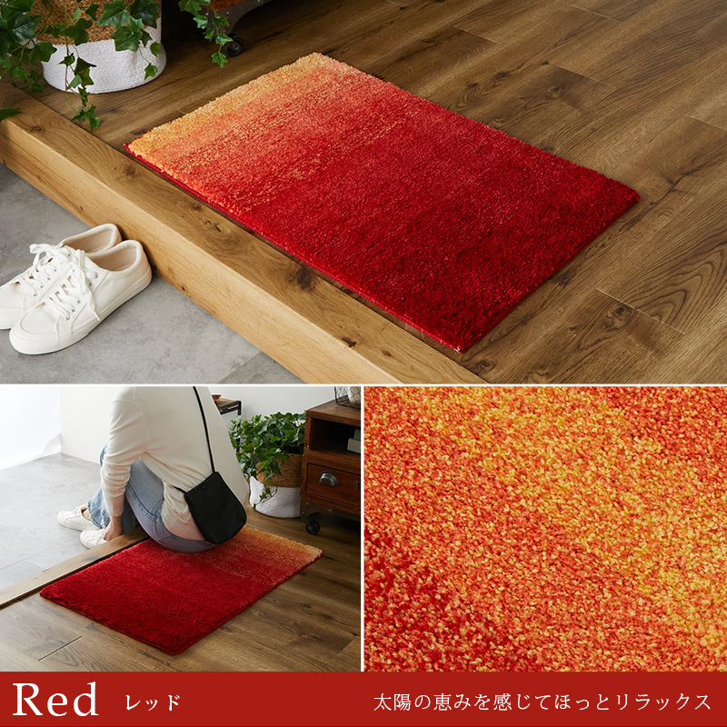 グラムスタイル 在庫処分 特価 玄関マット 室内 屋内 50×80 北欧