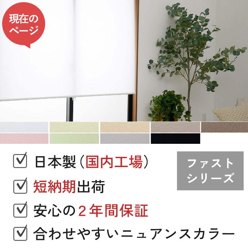 国産ファストタイプ