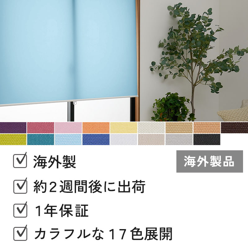 激安海外タイプ