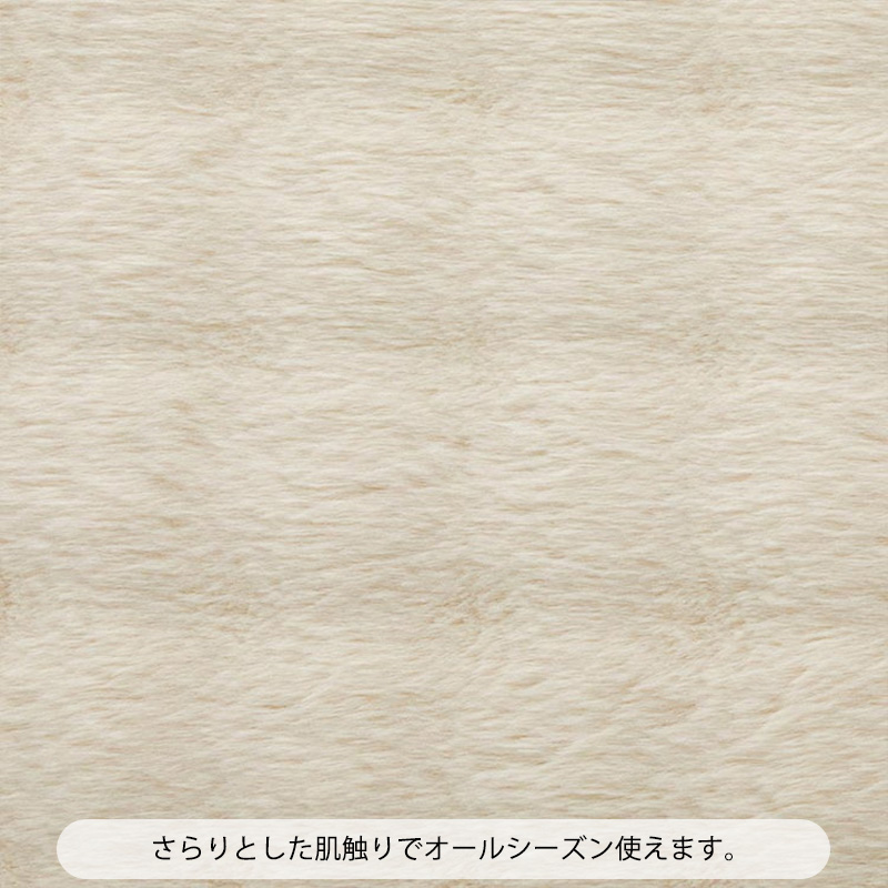 コニー2詳細