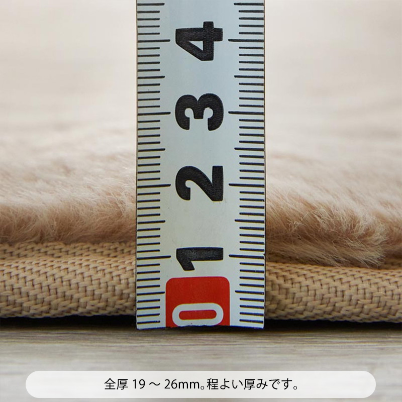 コニー2詳細