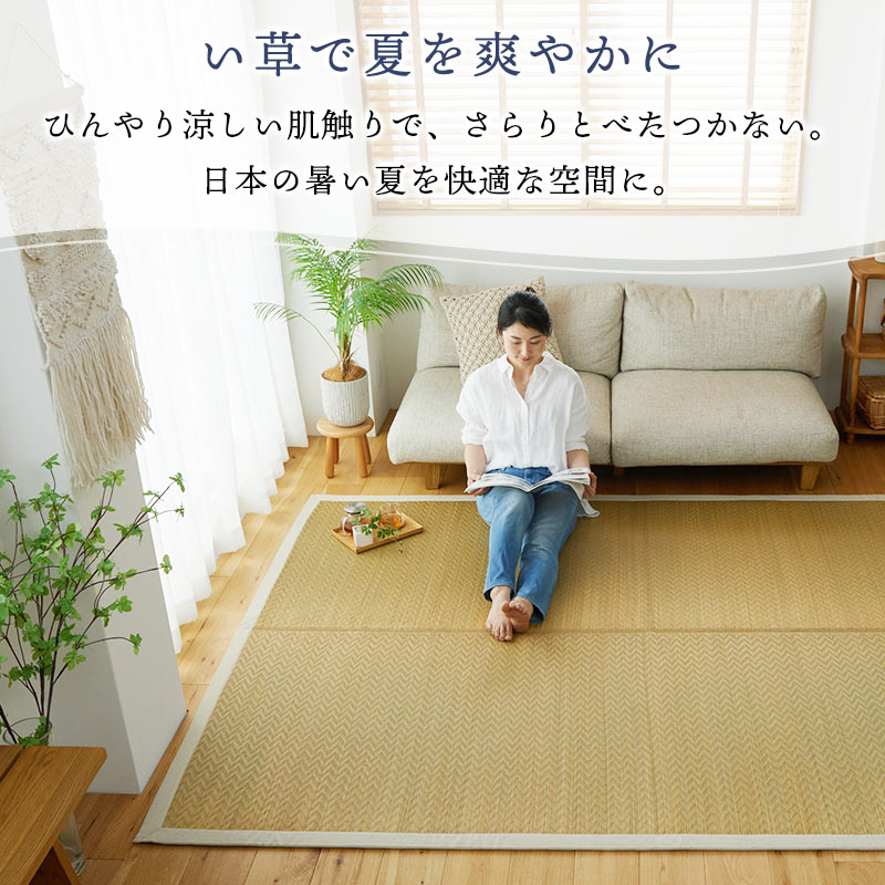 い草特徴
