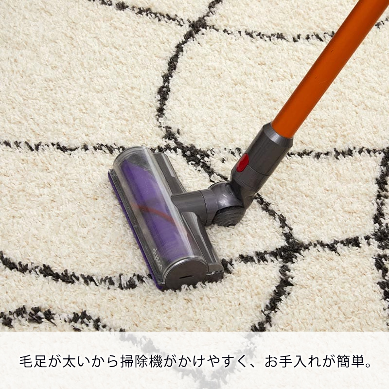 掃除機をかけている様子
