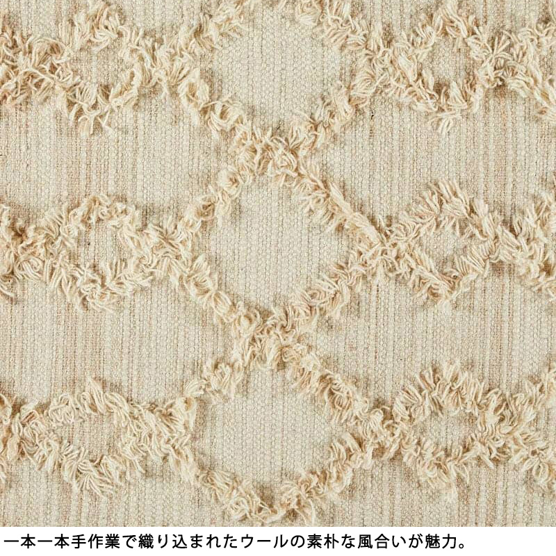 在庫処分 特価 玄関マット マット 室内 屋内...の詳細画像4