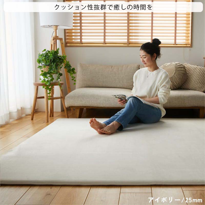 状態良好☆3畳☆ニトリ 厚手1センチ フリースラグ・キルティング