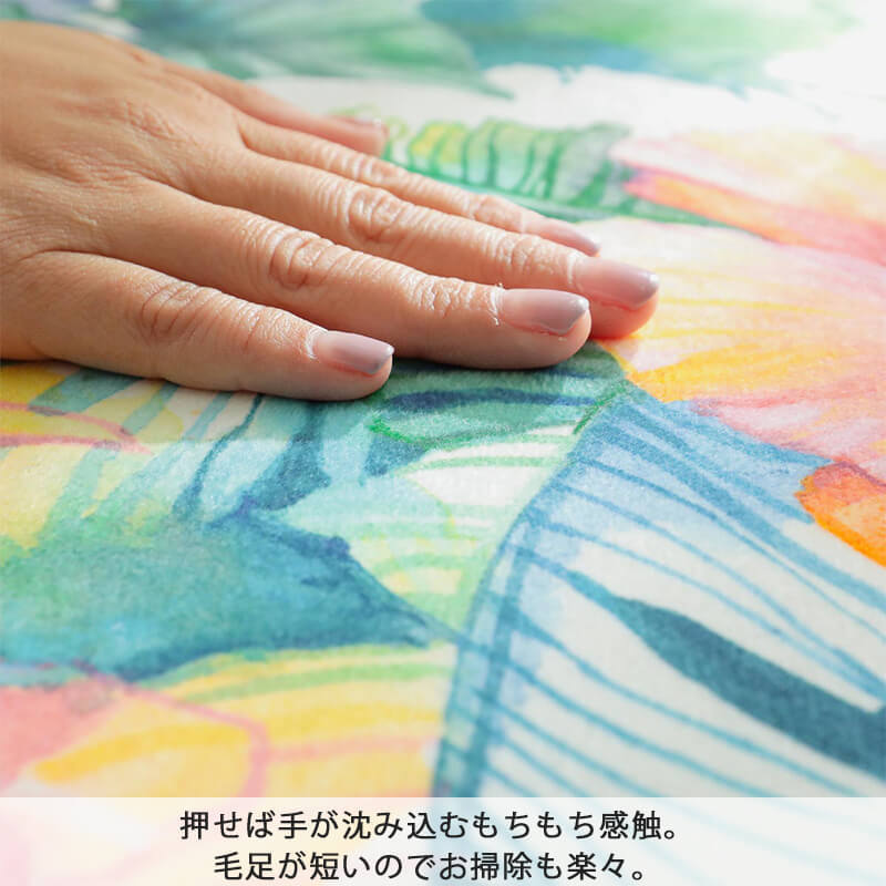 押せば手が沈み込むもちもち感触。
