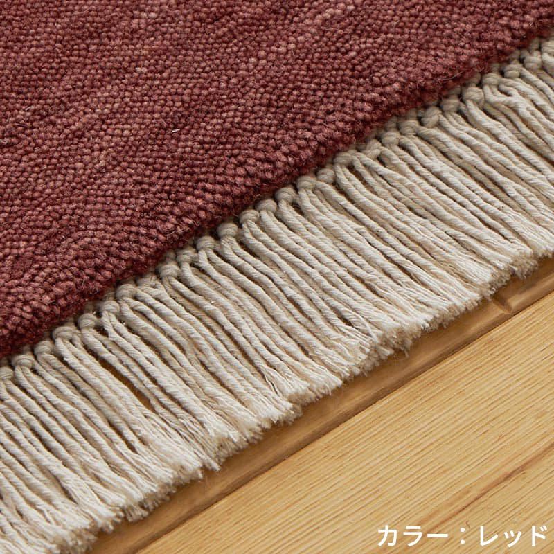 フリンジの詳細