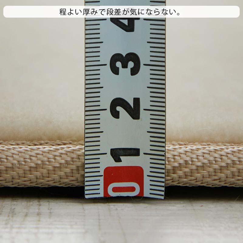 ラグ カーペット ラグマット 高密度 高反発 へたりにくい 2畳 190×190cm 撥水 絨毯 オールシーズン 北欧 おしゃれ / ジョイナ | グラムスタイル | 21