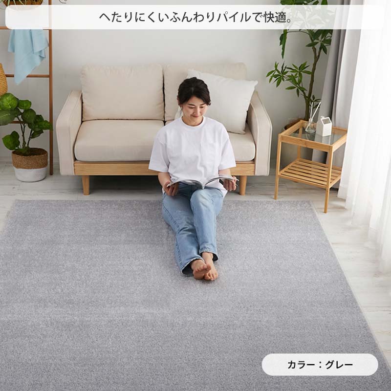 グラムスタイル カラー限定特価 ラグ 夏用 洗える 冷感 3畳 190×240cm