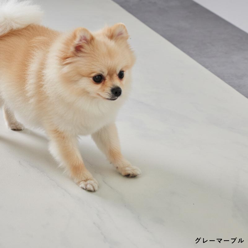 犬が歩いているカット