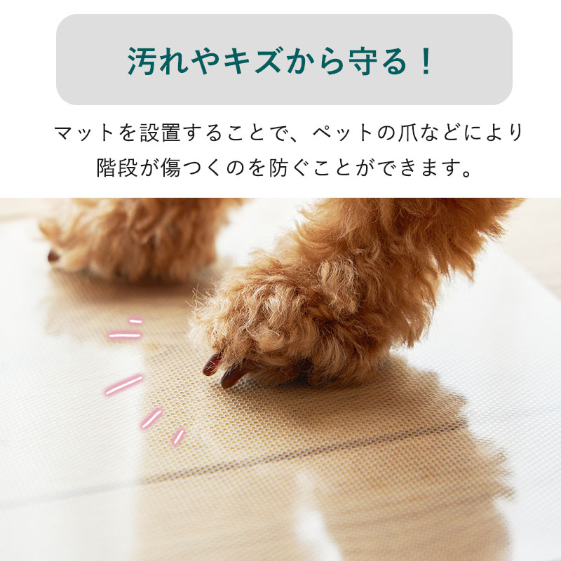 ピットポイント