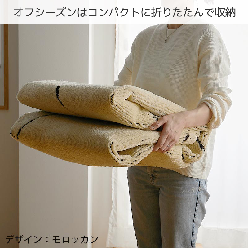 グラムスタイル ラグ カーペット 洗える 防ダニ 3畳 190×240cm