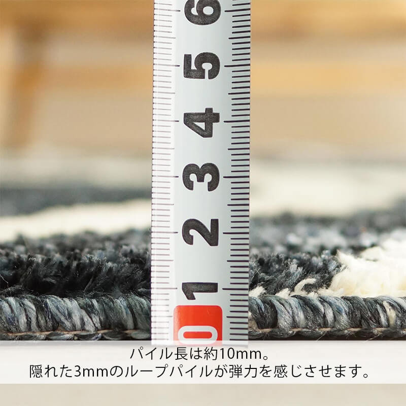 パイル長は約10mm