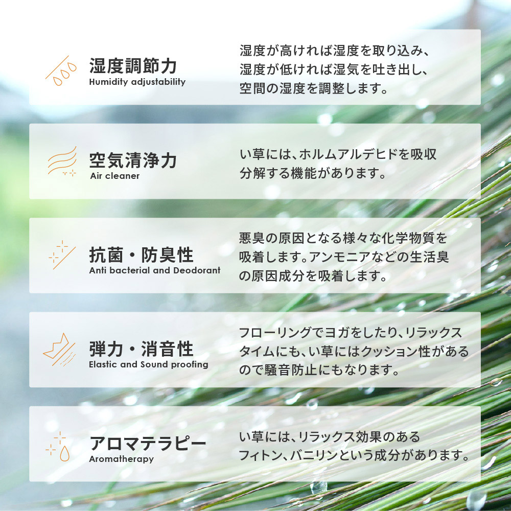い草特徴2