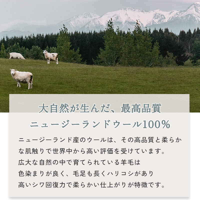 ギャベ ギャッベ ラグ 絨毯 1.5畳 手織り ギャベ絨毯 ギャッベ絨毯 北欧 ニュージーランド ウール フリンジ / ルーミィ 130×190cm | グラムスタイル | 09