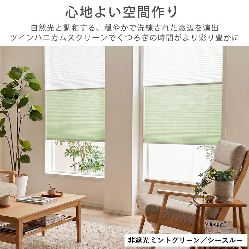 ハニカムスクリーン 採光 シースルー レース オーダー ロールスクリーン ブラインド カーテン 遮熱 断熱 保温 / 非遮光＋シースルー ツインハニカム | グラムスタイル | 17