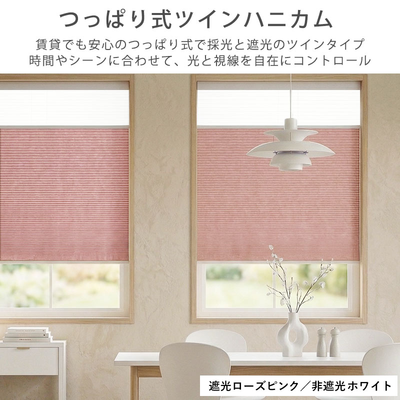 つっぱり ハニカムスクリーン 遮光 採光 レース オーダー ロールスクリーン ブラインド カーテン 遮熱 断熱 保温 / 突っ張り 1級遮光＋非遮光 ツインハニカムの画像