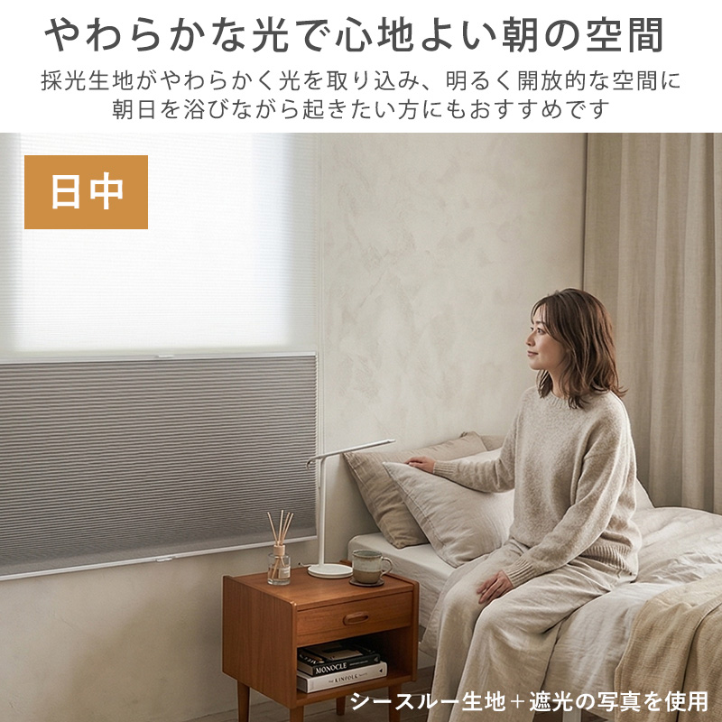 ハニカムスクリーン 遮光 採光 レース オーダー ロールスクリーン ブラインド カーテン 遮熱 断熱 保温 / 1級遮光＋非遮光 ツインハニカムの画像