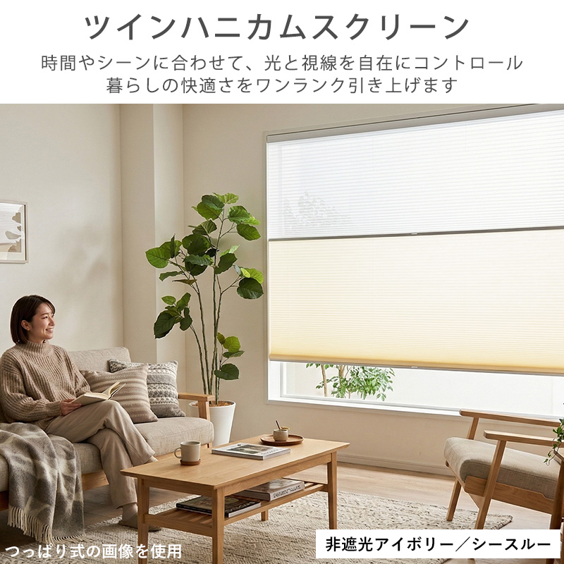 ハニカムスクリーン 採光 シースルー レース オーダー ロールスクリーン ブラインド カーテン 遮熱 断熱 保温 / 非遮光＋シースルー ツインハニカム | グラムスタイル | 09