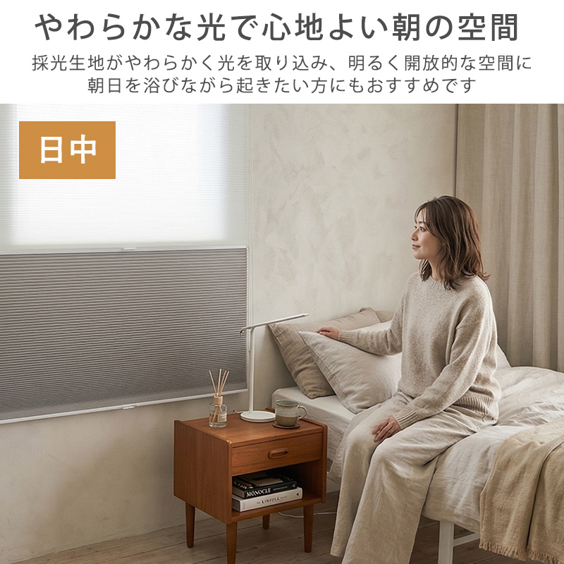 つっぱり ハニカムスクリーン 遮光 シースルー レース オーダー ロールスクリーン ブラインド カーテン 遮熱 / 突っ張り 1級遮光＋シースルー ツインハニカムの画像