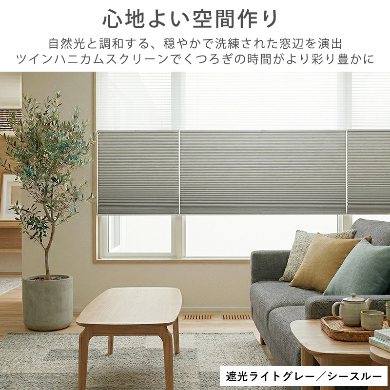 つっぱり ハニカムスクリーン 遮光 シースルー レース オーダー ロールスクリーン ブラインド カーテン 遮熱 / 突っ張り 1級遮光＋シースルー ツインハニカムの画像
