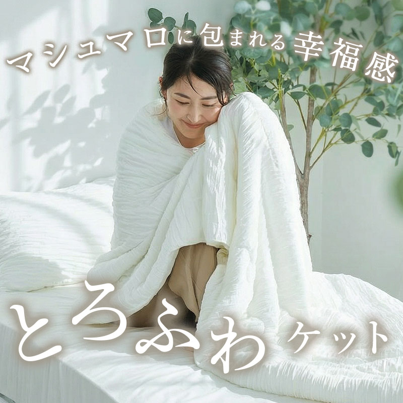 グラムスタイル ひんやり ブランケット ひざ掛け 接触冷感 洗える 肌