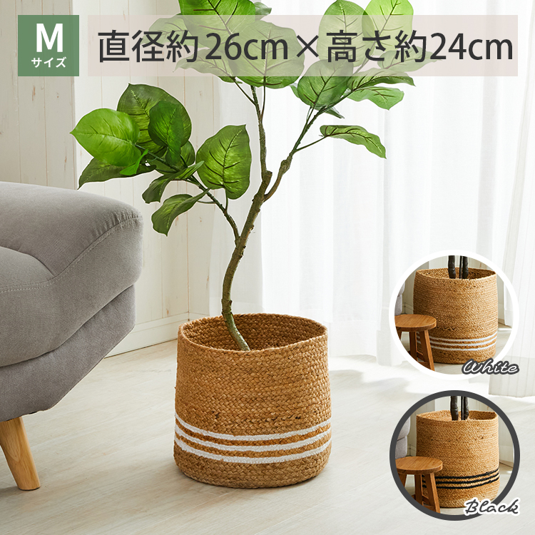 ロタール mサイズ