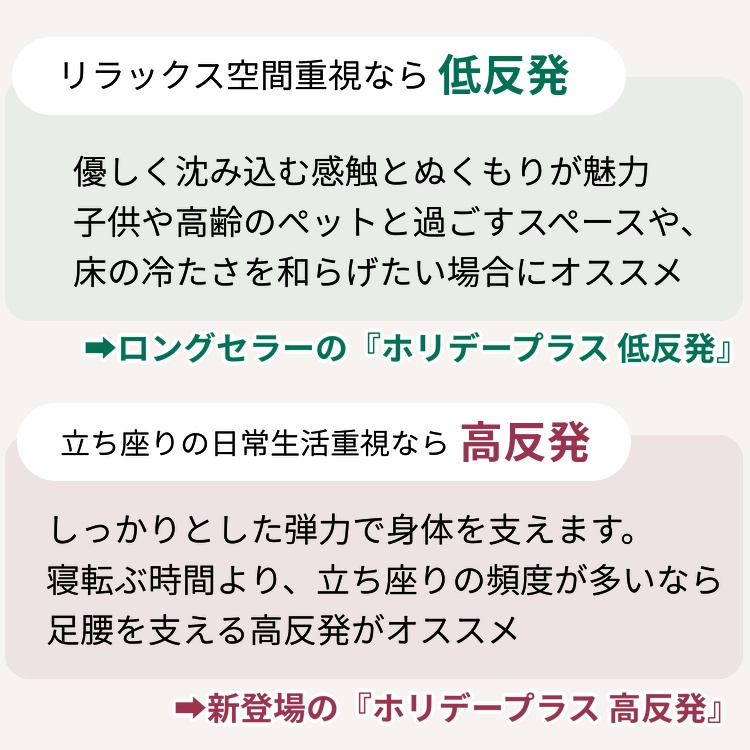 ラグ カーペット ラグマット 高反発 3畳 190×240 極厚 50mm 撥水 絨毯 オールシーズン 高反発ラグ 北欧 おしゃれ / ホリデープラス 高反発50mm | グラムスタイル | 13