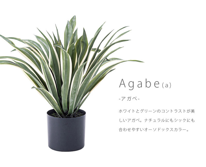 フェイクグリーン 観葉植物 ミニパイナップル リュウゼツラン アガベ Fake Green Toman トマン / メーカー直送 azm｜rugoo｜02