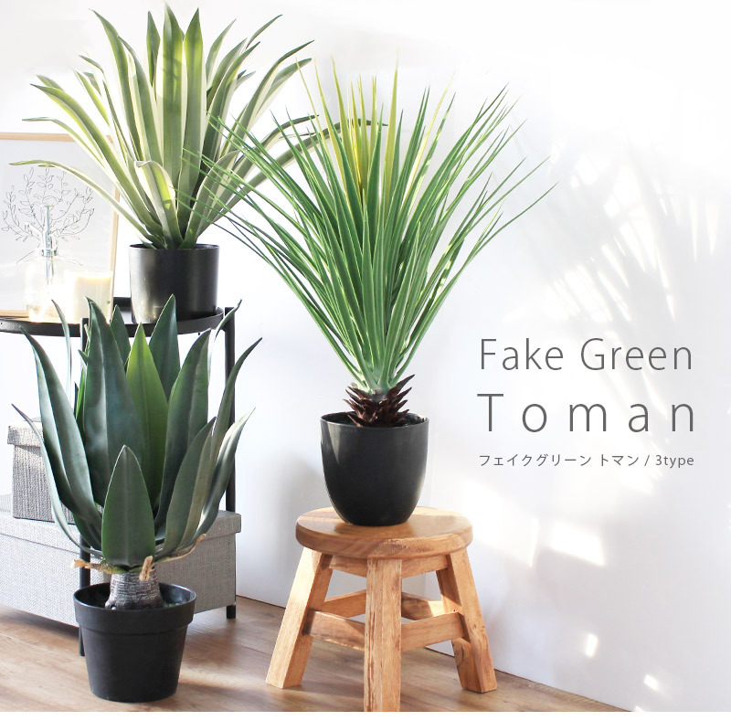 フェイクグリーン 観葉植物 ミニパイナップル リュウゼツラン アガベ Fake Green Toman トマン / メーカー直送 azm｜rugoo｜05