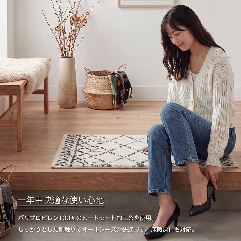 玄関マット 屋内 おしゃれ 北欧 室内 室内用 屋内用 モダン 60x90