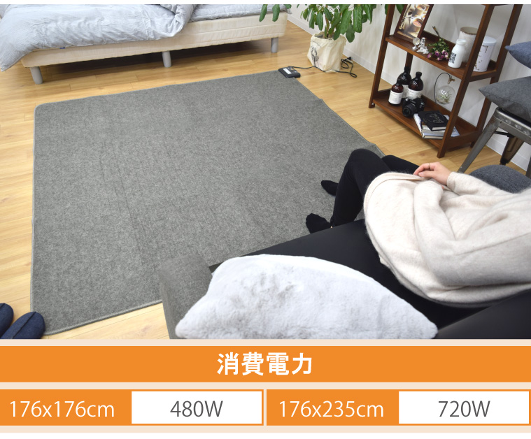 ホットカーペットセット 3畳 本体 ラグセット 約200×240cm 吸湿発熱