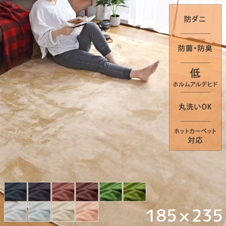ラグ ラグマット 洗える おしゃれ 抗菌 防ダニ 防臭 3畳 約185×235cm ホットカーペット対応 無地 北欧 ブラウン 長方形 ルー ...