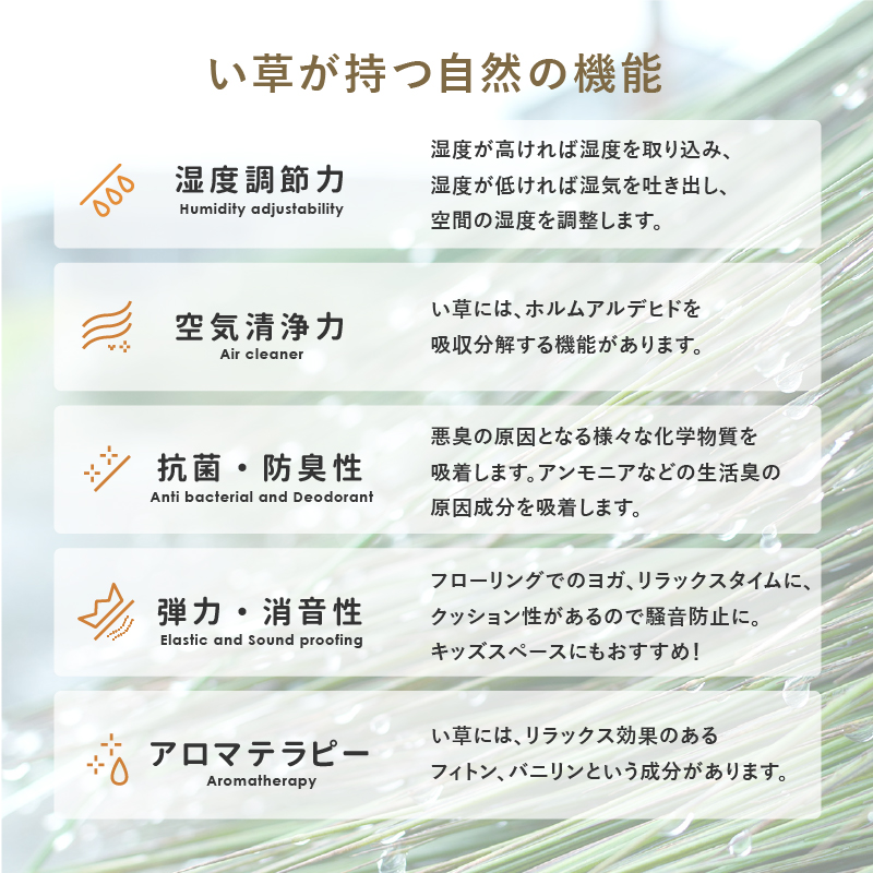 畳 置き畳 イ草 い草 82×82×2.5cm...の詳細画像4