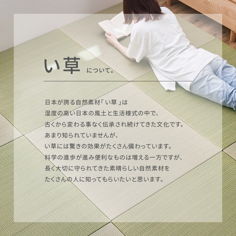 畳 置き畳 ユニット畳 い草 65×65×1.5cm 小 縁無し 同色12枚セット 3畳 たたみ おしゃれ 畳マット 琉球畳風 かわいい 賃貸 四季 期間限定