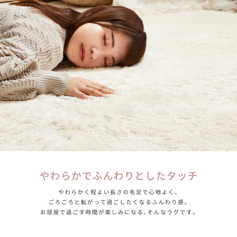 HAGiHARA（萩原） ラグ マット カーペット 5畳 230×330cm 大判 洗える