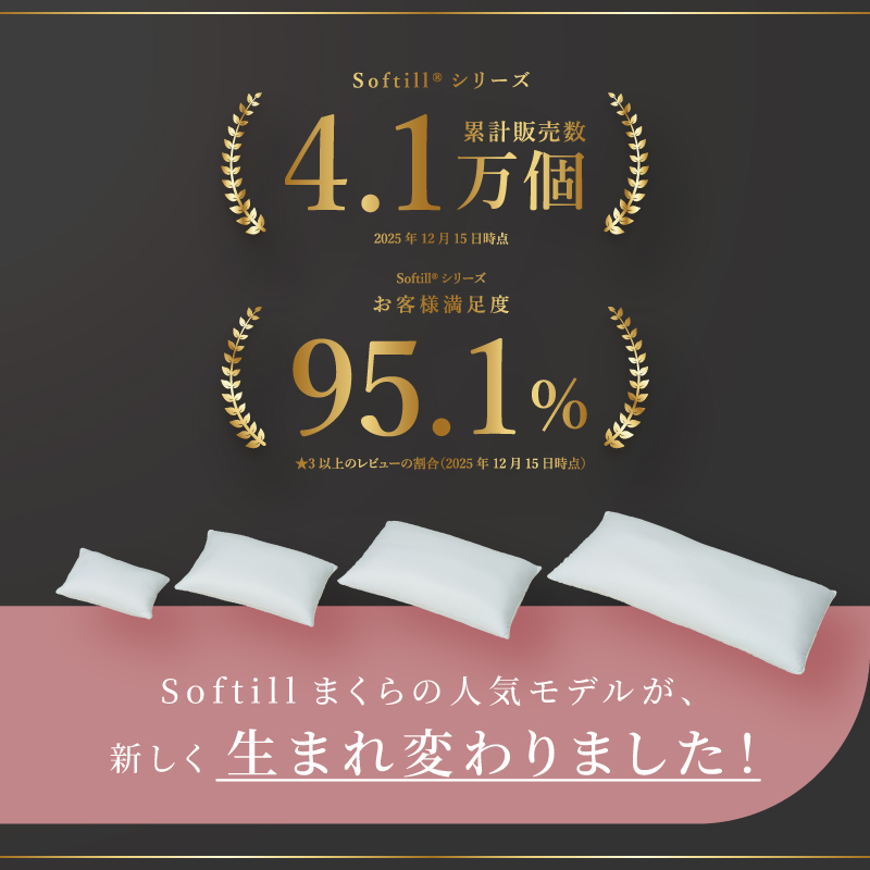 枕 カバー付 洗える パイプ まくら ピロー やわらかい LLサイズ ロング 43×90cm 日本製 人をダメにしないまくら ピロー Softell ソフティル D-027 返品保証_2