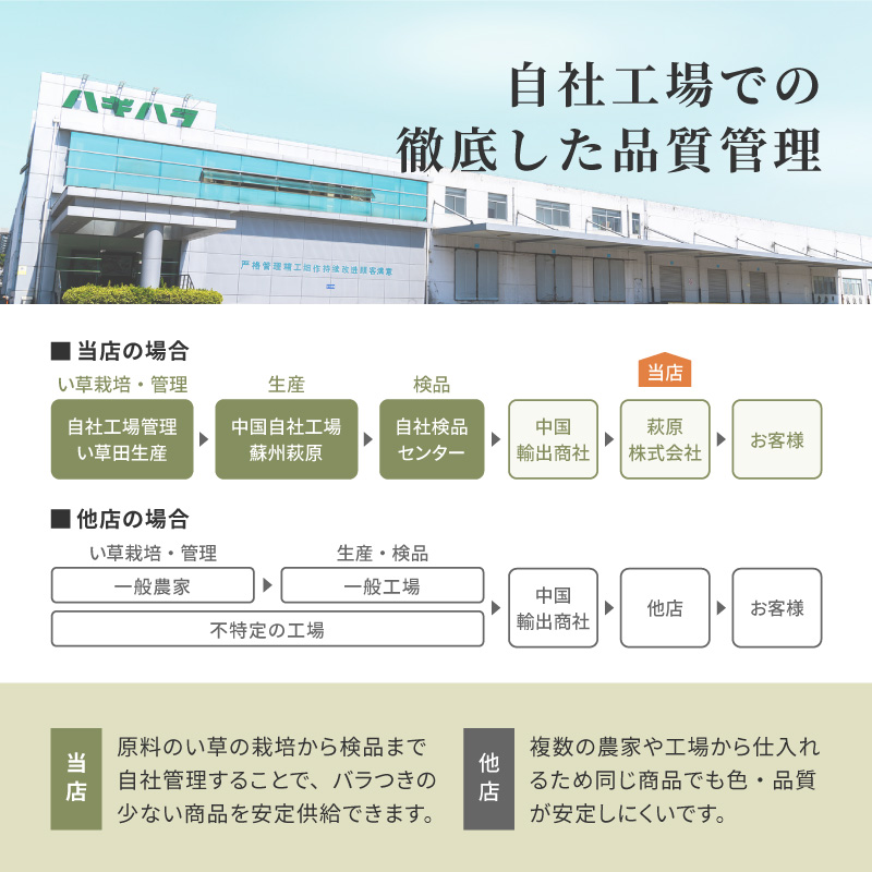補修テープ付 カーペット 撥水 い草 8畳 382×382cmフリーカット 畳の上に敷くもの ござ 本間 関西間 京間 六三間 63間 上敷き ブルー