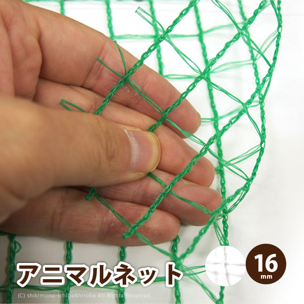ɽåͥå ˥ޥͥå 1.5Ĺ50 16mm åͥå ưʪ褱 ѥͥå ɸͥå 磻ɥå GR16 N16