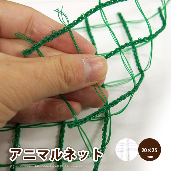 ɽåͥå ϥ˥ޥͥå 2Ĺ50 2025mm åͥå ưʪ褱 ѥͥå ɸͥå 磻ɥå N2525 GR2520