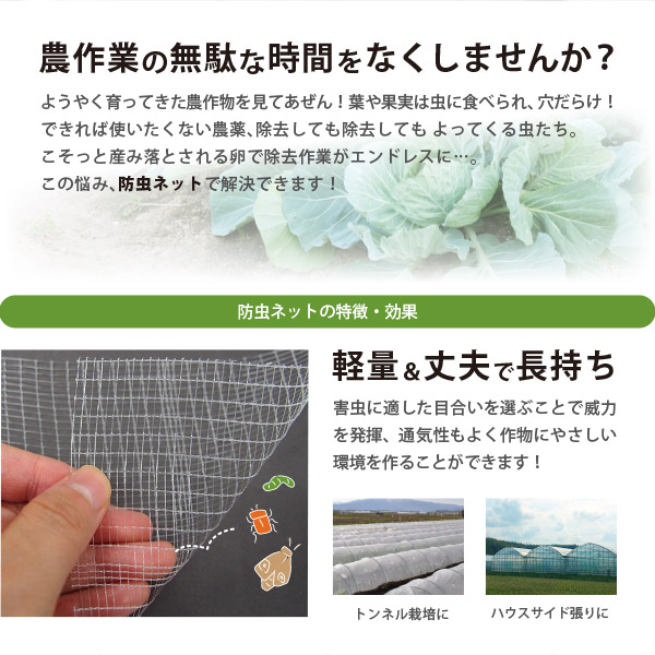 防虫ネット 白生地 からみ織 2×4mm 幅1.8×長さ100m 家庭菜園 園芸 畑 農業 サンサンネット N3800の画像