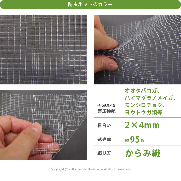 防虫ネット 白生地 からみ織 2×4mm 幅1.8×長さ100m 家庭菜園 園芸 畑 農業 サンサンネット N3800の画像