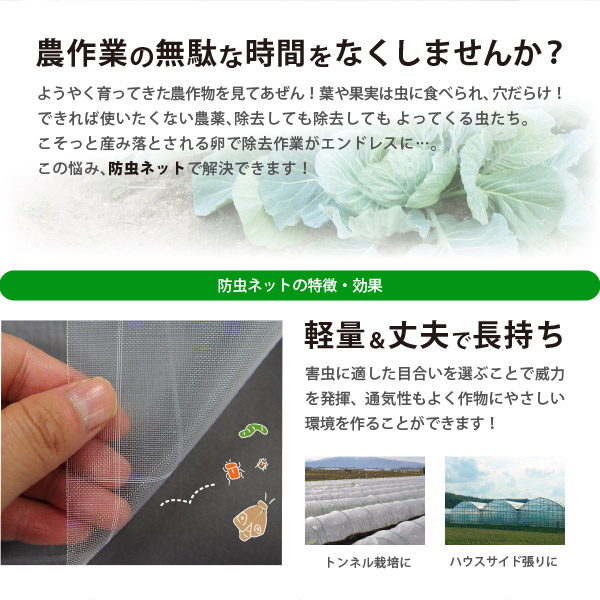 防虫ネット 白生地 白格子付き 0.4mm 幅0.75×長さ100m 家庭菜園 園芸 畑 農業 サンサンネット ソフライト SL4200の画像