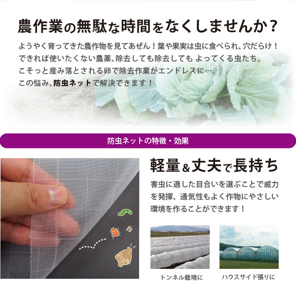 防虫ネット 白生地 白格子付き 0.2×0.4mm 幅1.8×長さ100m 家庭菜園 園芸 畑 農業 サンサンネット ソフライト SL6500_2