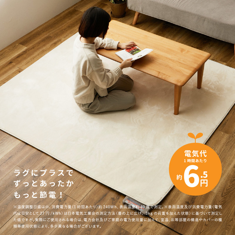 ホットカーペット 本体 小さめ 1畳 176×88cm 日本製 ダニ退治