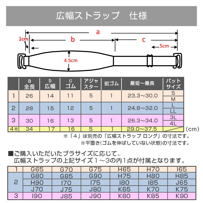 お試しブラVer2.5SN 黒 フルカップ