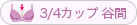 カップ